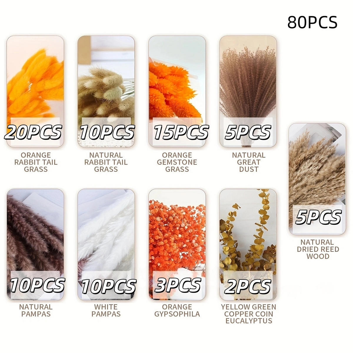 TROCKENBLUME Deko Blumenstrauß 80 Stück - Multicolor, Naturmaterialien (7cm) - Kaket