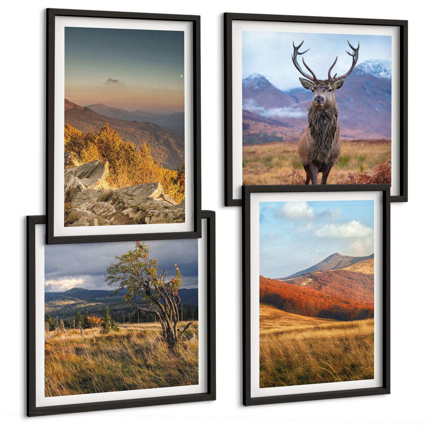 BILDER SET 4er Set - 50x50 cm & 40x60 cm Schwarzer Rahmen - Berglandschaften, Hirschgras - Schwarz, Kunststoff (50/50cm) - TULUP