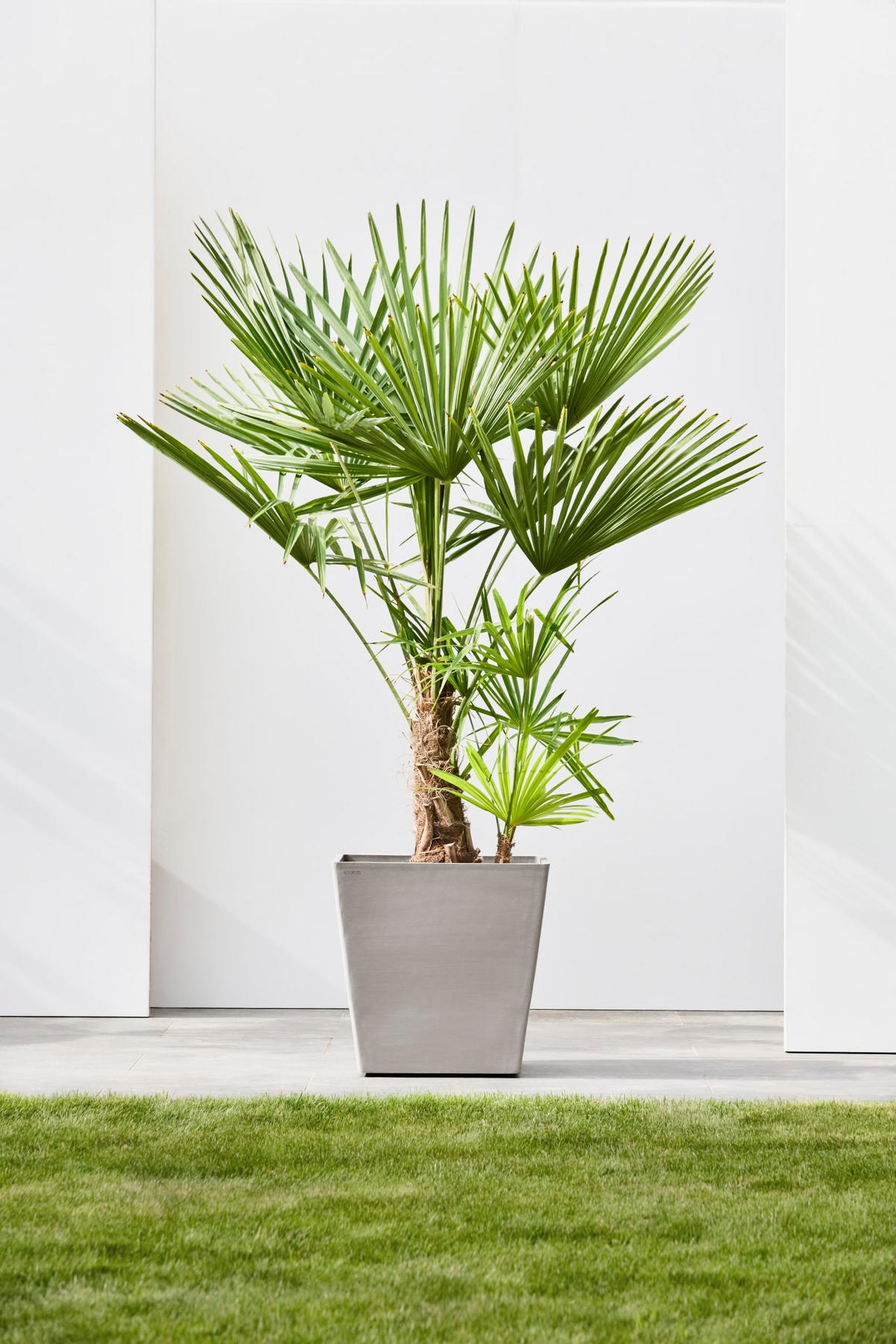 BLUMENTOPF Rotterdam Wheels 50,2/50,2/49,5 cm Taupe - Taupe, Kunststoff (50.2/49.5cm) - Ecopots