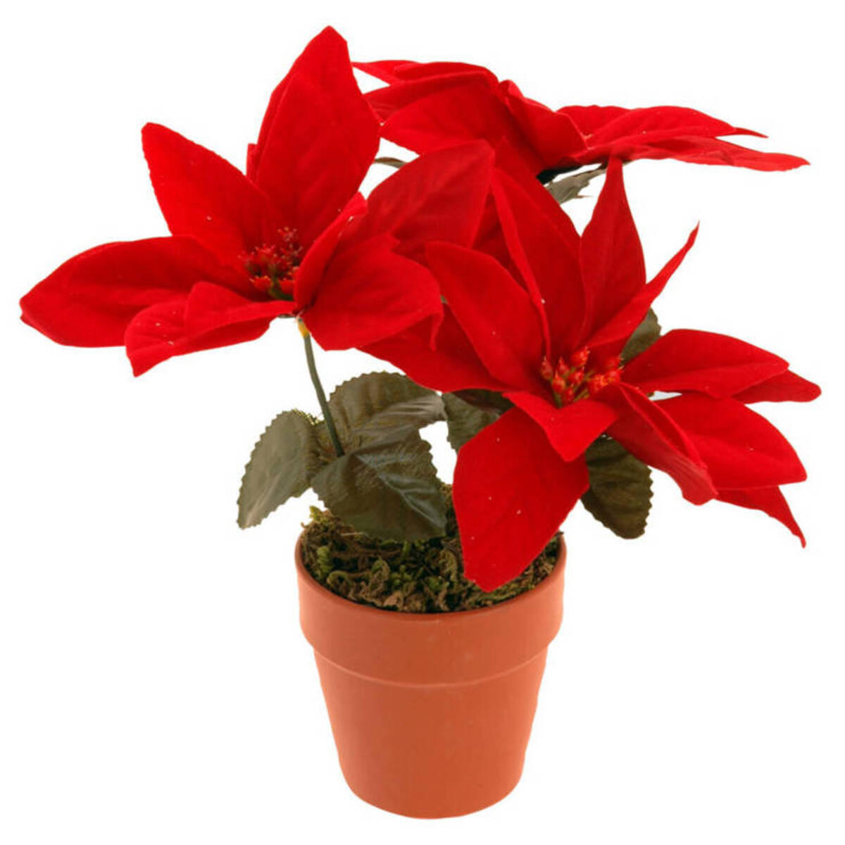 WEIHNACHTSSTERN Künstlich 22 cm - Rot, Kunststoff (15/22/13cm) - Home Styling Collection