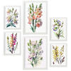 POSTER Set Mit 6 Wildblume Größe A3 & A4 Weißer Rahmen - Weiß, Papier (29.7/1cm) - Nacnic