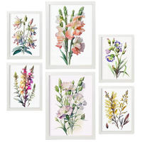 POSTER Set Mit 6 Wildblume Größe A3 & A4 Weißer Rahmen - Weiß, Papier (29.7/1cm) - Nacnic