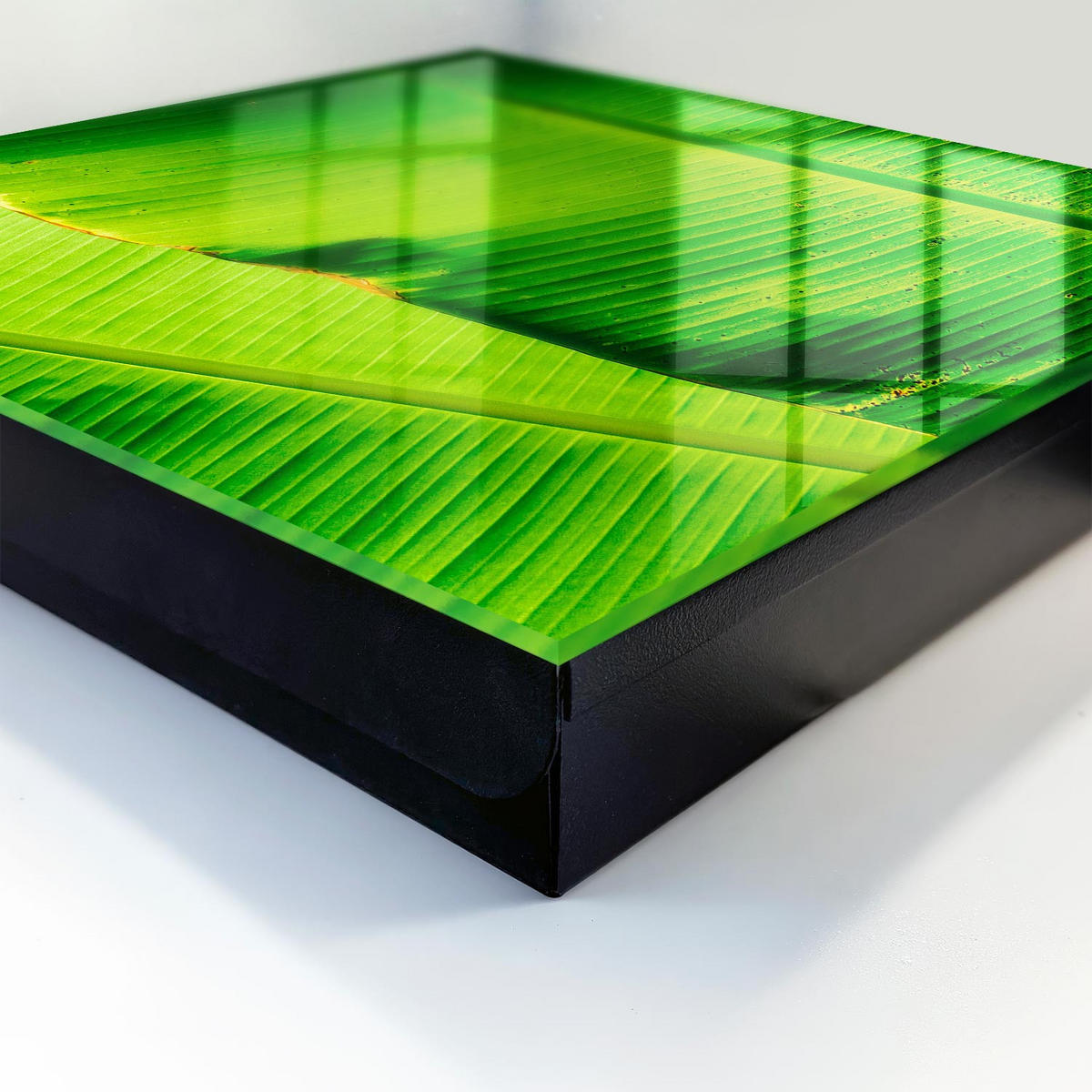SCHLÜSSELBOX Schwarz 30x30 cm- Türöffnung nach rechts - Blattglühen - Grün, Metall (30/30/5cm) - TULUP