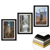 WANDBILDER 3er-Set - 20x30 cm Schwarzer Rahmen - Straße Wald Berge Hirsch Natur - Schwarz, Kunststoff (20/30cm) - ArtPrintCave