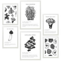 POSTER Set Mit 6 Komposition Aus Schwarzen & Weißen Pilzen & Homgos A3 & A4 Weißer Rahmen - Weiß, Papier (29/3cm) - Nacnic