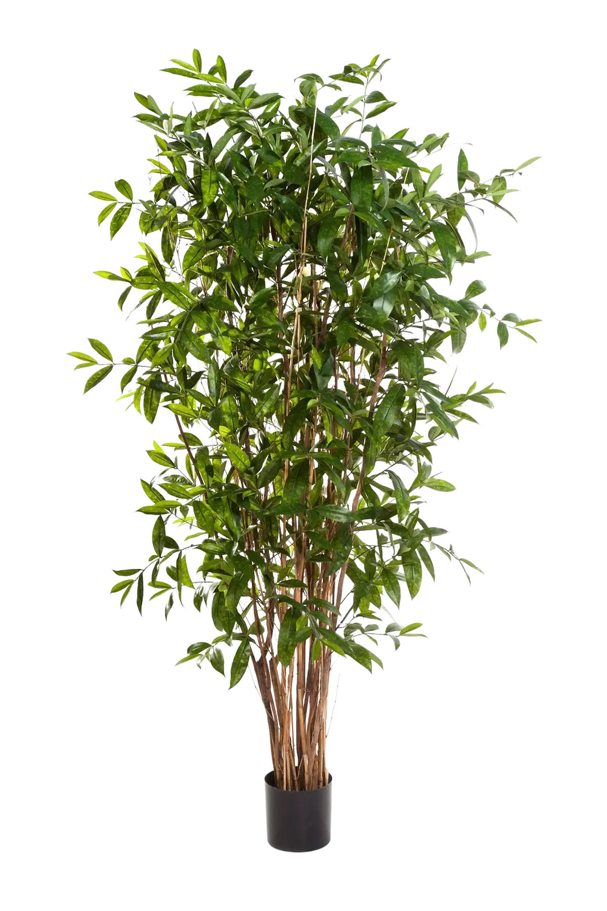 DRACHENBÄUME Künstlicher Drachenbaum - Ina 270 cm - Grün, Kunststoff (270cm) - aplanta