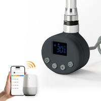 HEIZSTAB mit Thermostat Anthrazit 62/6,9/6,2 cm cm - Anthrazit, Metall (7/62/6cm) - EMKE