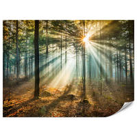 FOTOTAPETE für Wohnzimmer Herbstwald Sonnenuntergang Bäume Natur 500x350 - Beige/Gelb, Papier (500/350cm) - Muralo