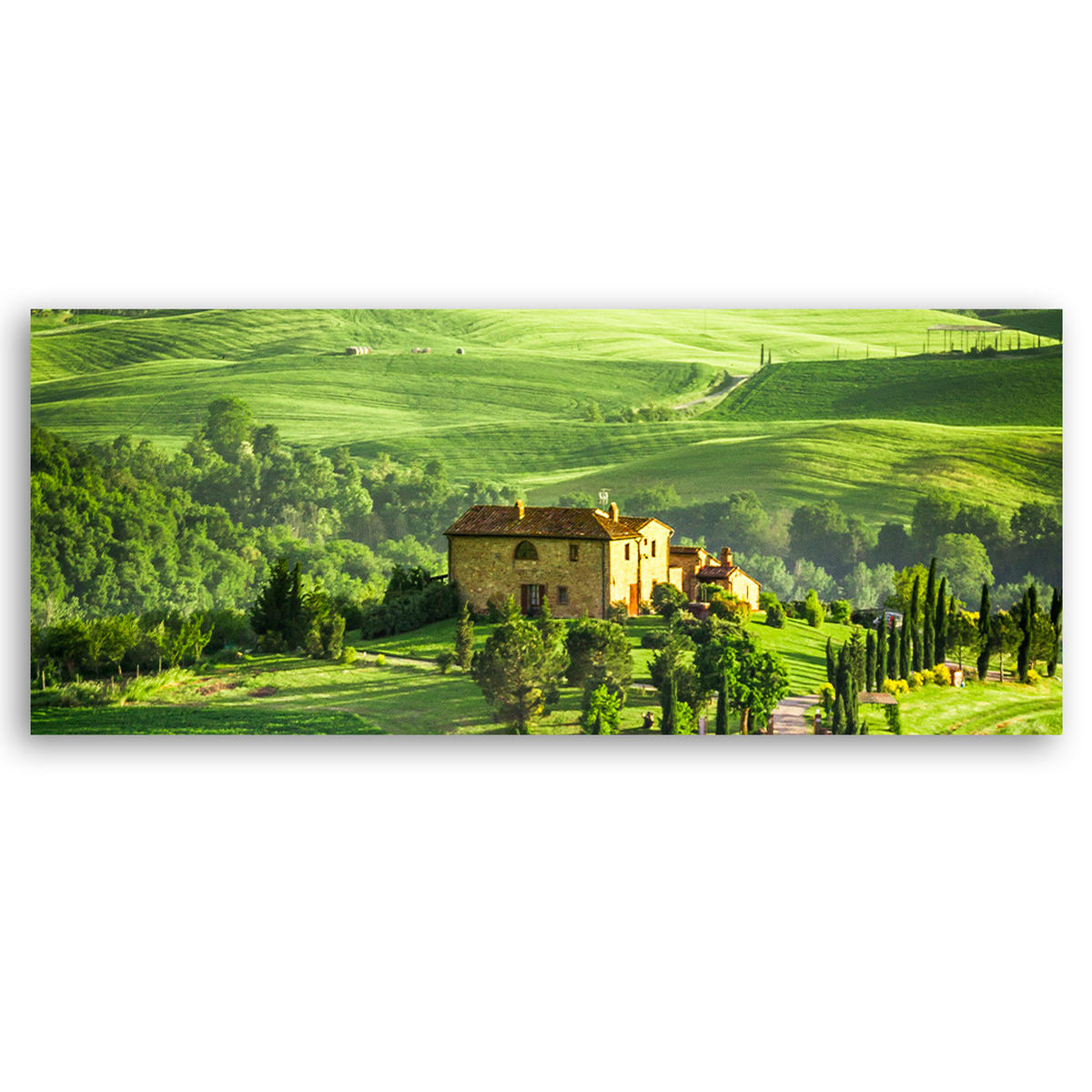 WANDBILD landschaft der toskana - Grün, Textil (90/30cm) - Feeby