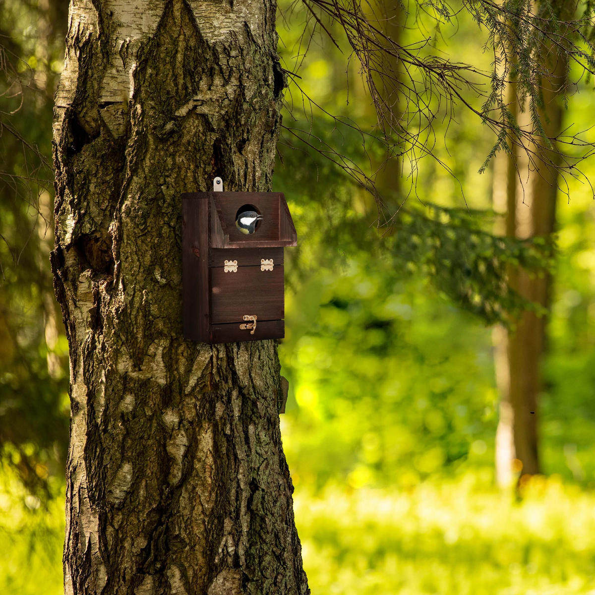 NISTKASTEN - Braun, Holz/Metall (14/24.5/14cm) - Relaxdays