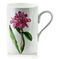 BECHER Armano Violett 8/11/11.5 cm Porzellan - Violett, Keramik (0.41L) - Mondex