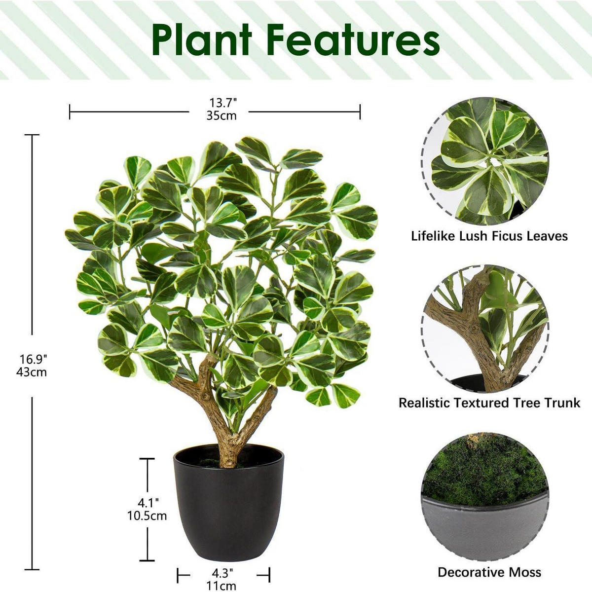 KUNSTPFLANZE Ficus 43 cm Grün & Weiß im schwarzen Topf - Multicolor, Kunststoff (43cm)