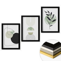 WANDBILDER 3er-Set - 20x30 cm Schwarzer Rahmen - Abstrakte Pflanzenformen - Schwarz, Kunststoff (20/30cm) - ArtPrintCave