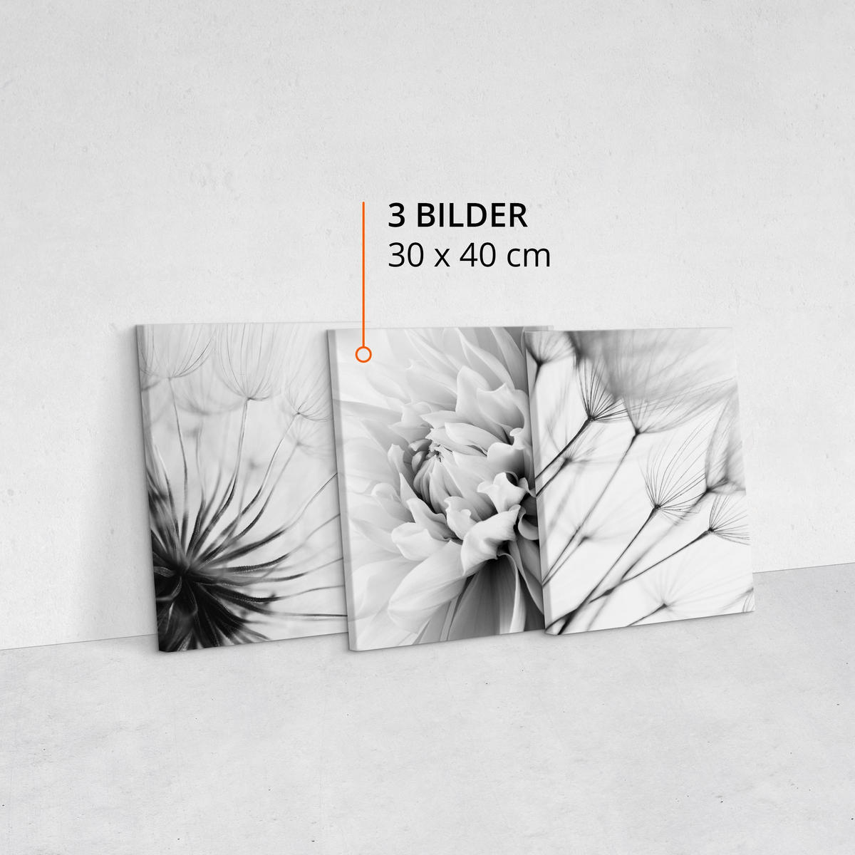 LEINWANDBILDER 3-er Set Pflanzen Natur - Schwarz/Weiß, Textil (90/40cm) - Muralo