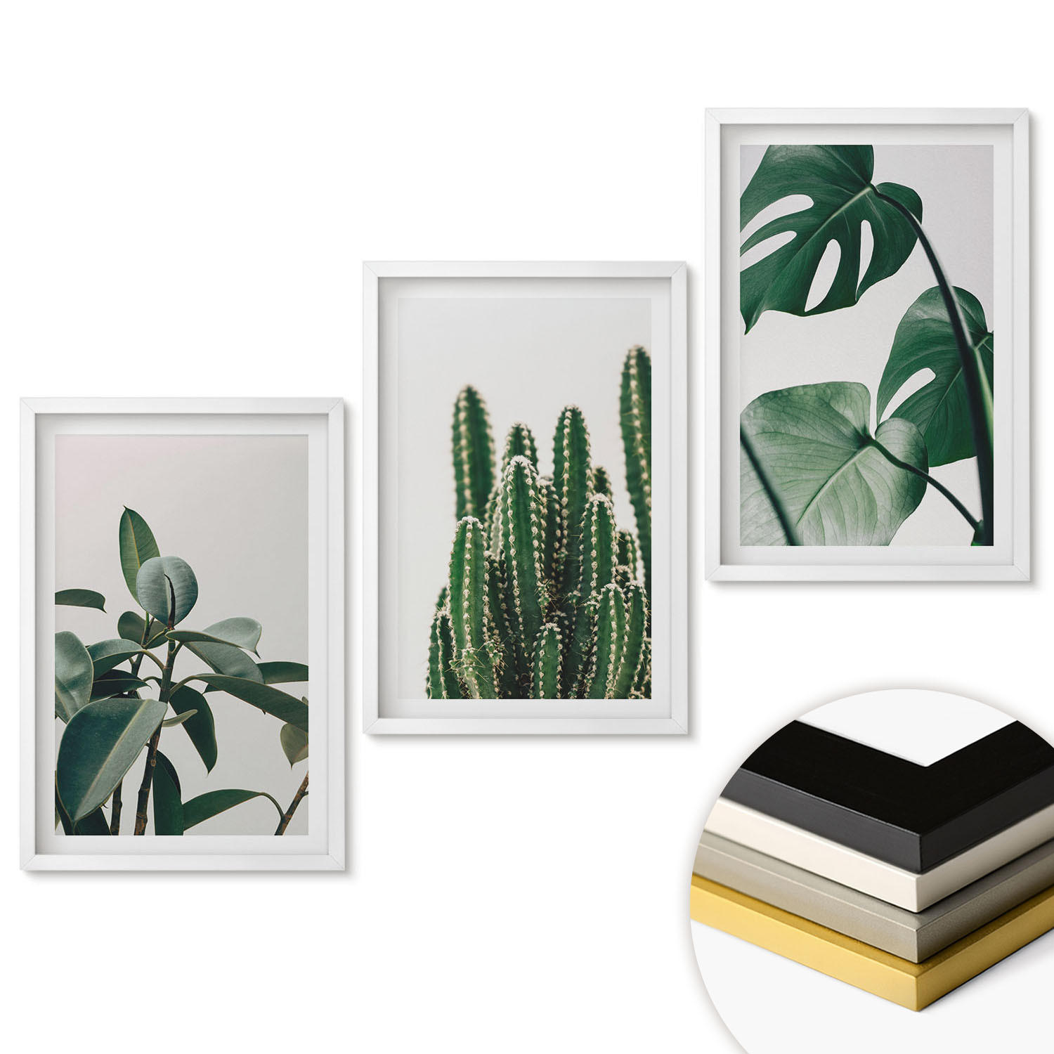 WANDBILDER 3er-Set - 40x60 cm Weißer Rahmen - Tropische ästhetische Pflanzen - Weiß, Kunststoff (40/60cm) - ArtPrintCave