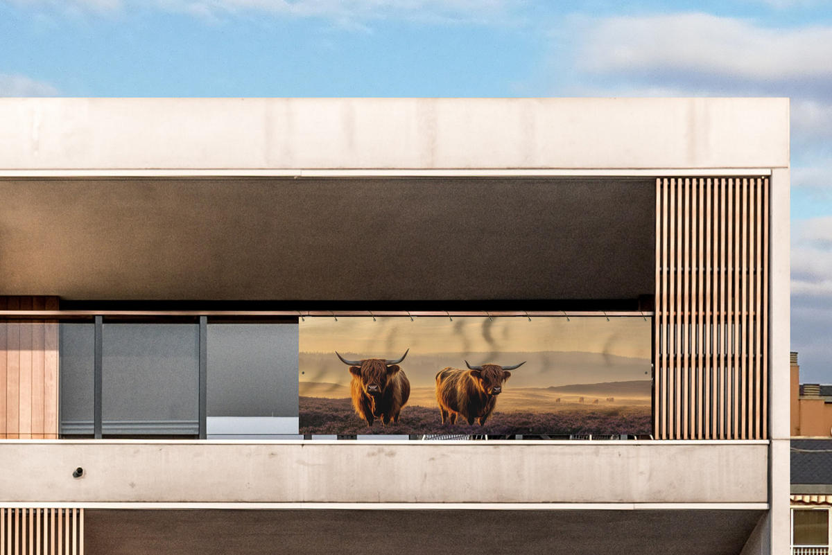 BALKON-SICHTSCHUTZ Schottische Hochlandbewohner - Heide - Landschaft - Tiere - Cognac, Kunststoff (300/110cm) - MuchoWow