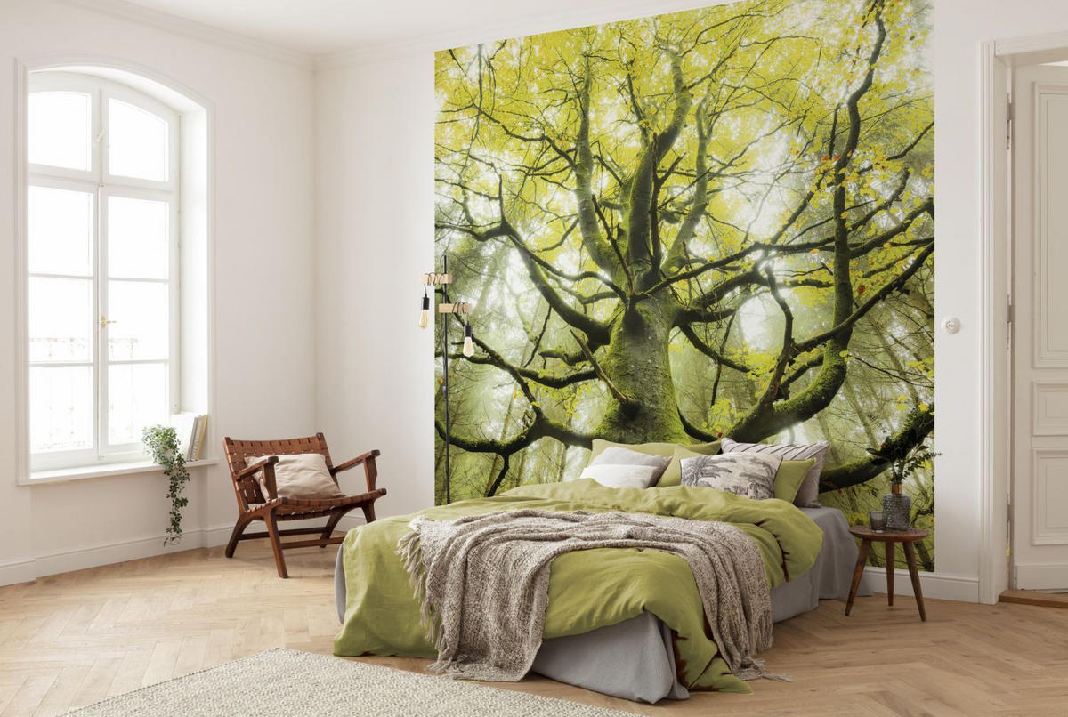 FOTOTAPETE Wald 300 x 280 cm - Grün, Papier (300/280cm) - Sanders & Sanders