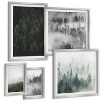 BILDER SET 5er Set - 50x50 cm & 20x30 cm & 40x60 cm Silberner Rahmen - Grüne Wälder, neblige Landschaft - Silberfarben, Kunststoff (40/60cm) - TULUP
