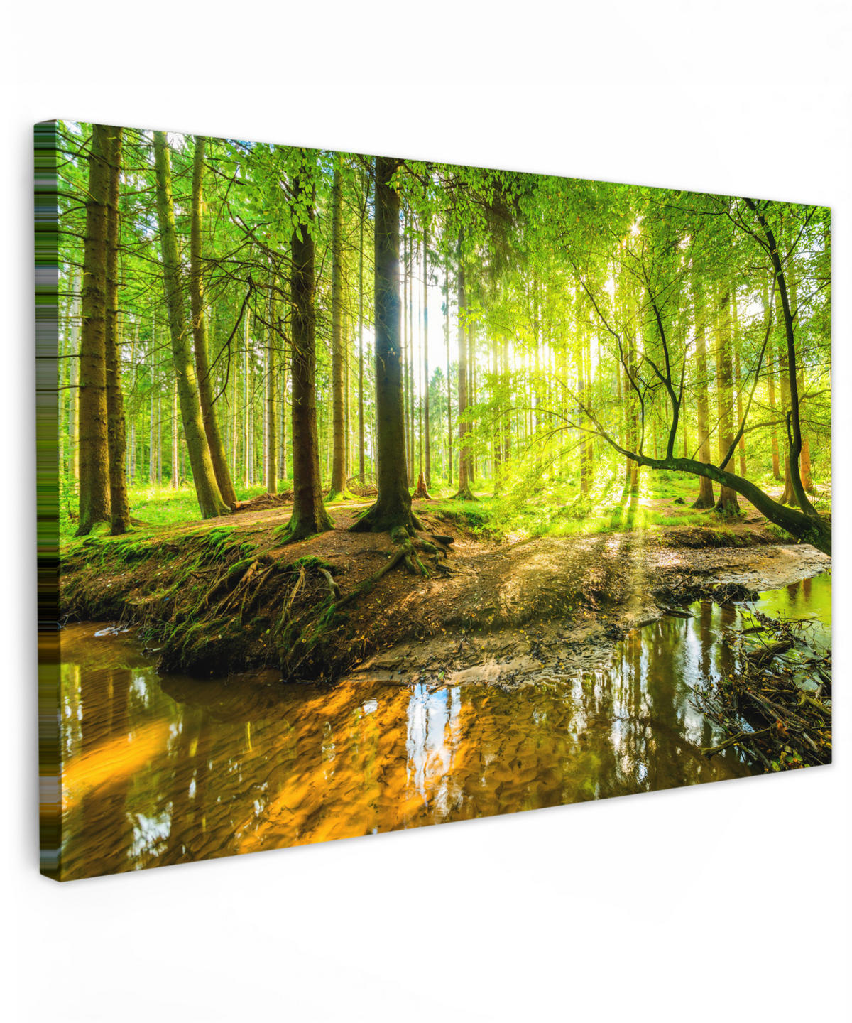 LEINWANDBILD Wald - Landschaft - Wasser - Bäume - Sonne - Grün - Natur Gemälde 60x40 cm - Grün, Textil (60/40cm) - MuchoWow