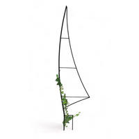 RANKHILFE Garten Metall Schwarz Segel - Schwarz, Metall (40/147/0.6cm) - DanDiBo