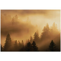 FOTOTAPETE Wald Nebel Beige 350x250 cm - Multicolor, Papier (350/250cm) - Wallarena