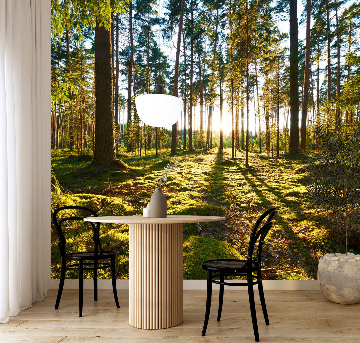 FOTOTAPETE für Küche Sonnenaufgang WALD Moss Bäume Sonnenstrahl 500x350 - Gelb/Braun, Papier (500/350cm) - Muralo