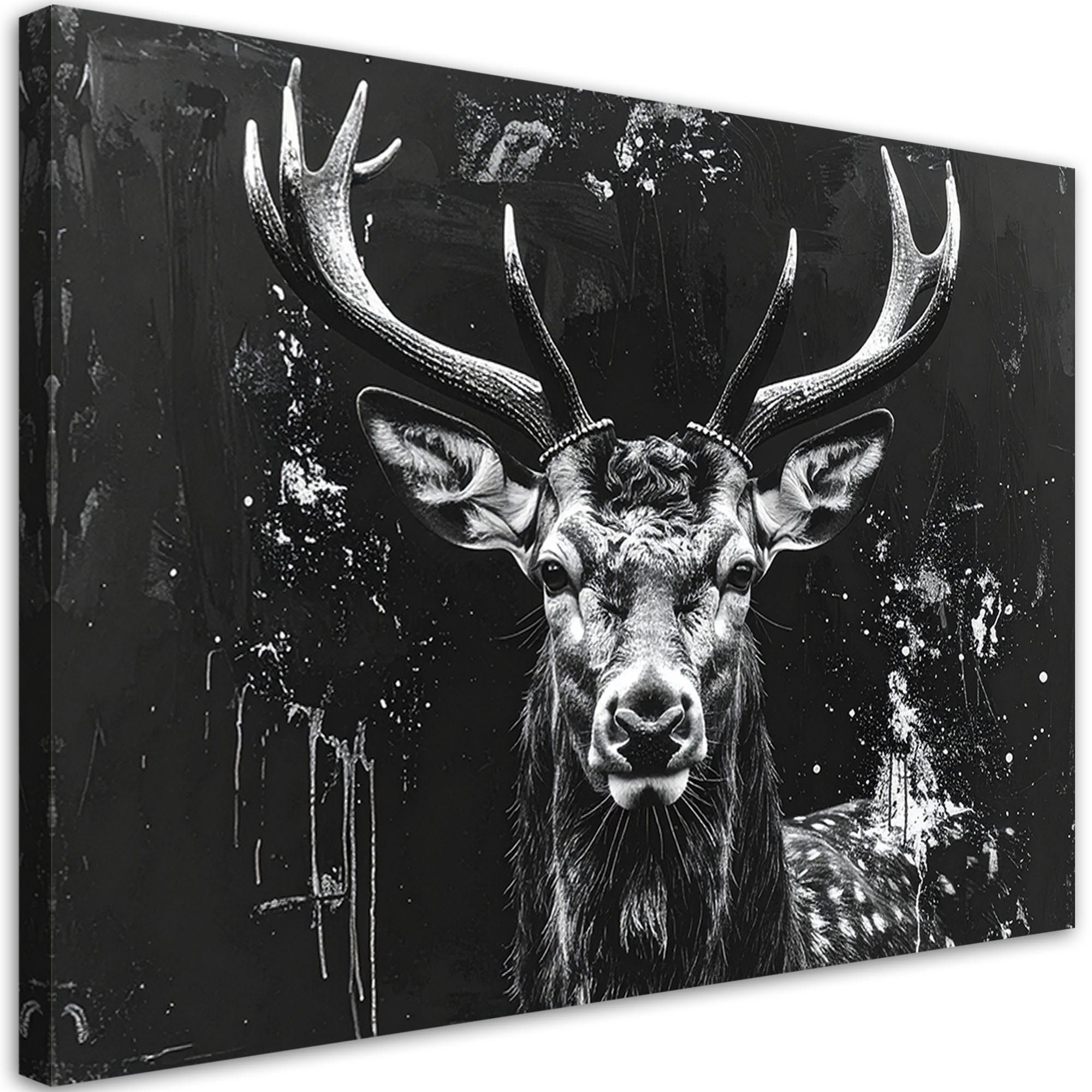 LEINWANDBILD Tiere 100x70cm - Schwarz, Textil (100/70cm) - Feeby