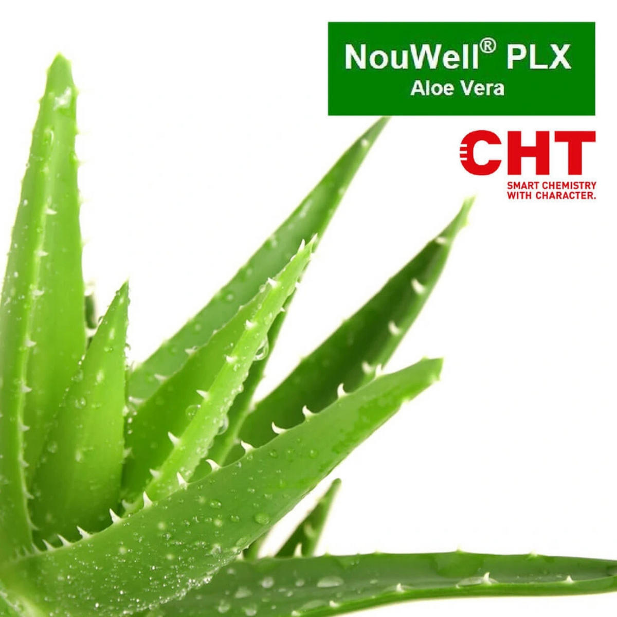 LATEXMATRATZE Aloe Vera 90x190 Höhe 18 cm H3 – 7 Zonen, 3-Schicht-Kern, Bezug mit Aloe Vera - Weiß, Textil - Letti Moderni