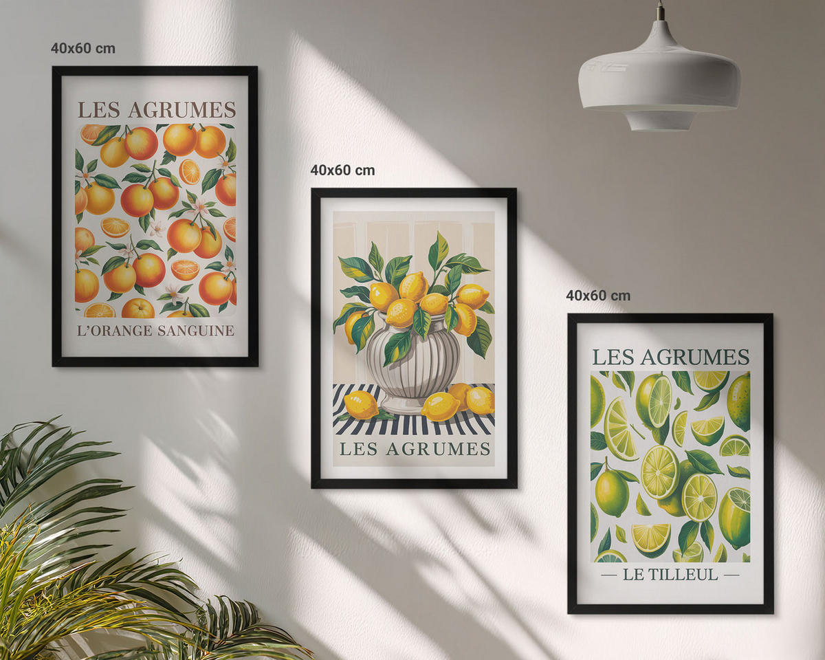 BILDER SET 3er Set - 40x60 cm Schwarzer Rahmen - Zitrusfrüchte in farbenfrohen Varianten - Schwarz, Kunststoff (40/60cm) - TULUP