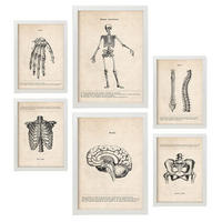 POSTER Set Mit 6 Knochenanatomie Größe A3 & A4 Weißer Rahmen - Weiß, Papier (29.7/1cm) - Nacnic
