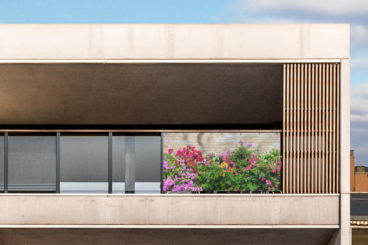 BALKON-SICHTSCHUTZ Blumen - Pflanzen - Blätter - Steine - Pink, Kunststoff (200/90cm) - MuchoWow