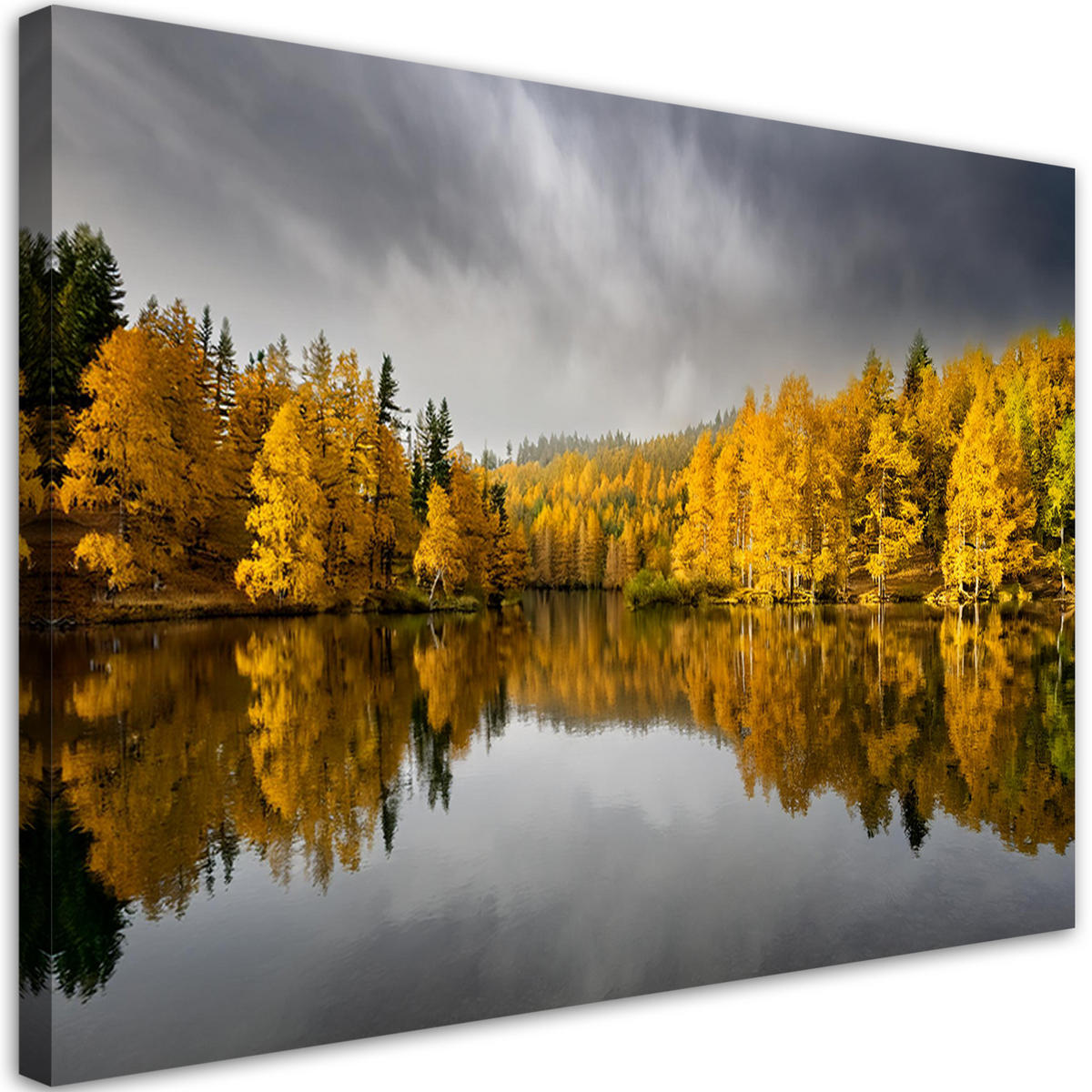WANDBILD gelbe herbstwald naturlandschaft - Gelb, Textil (60/40cm) - Feeby