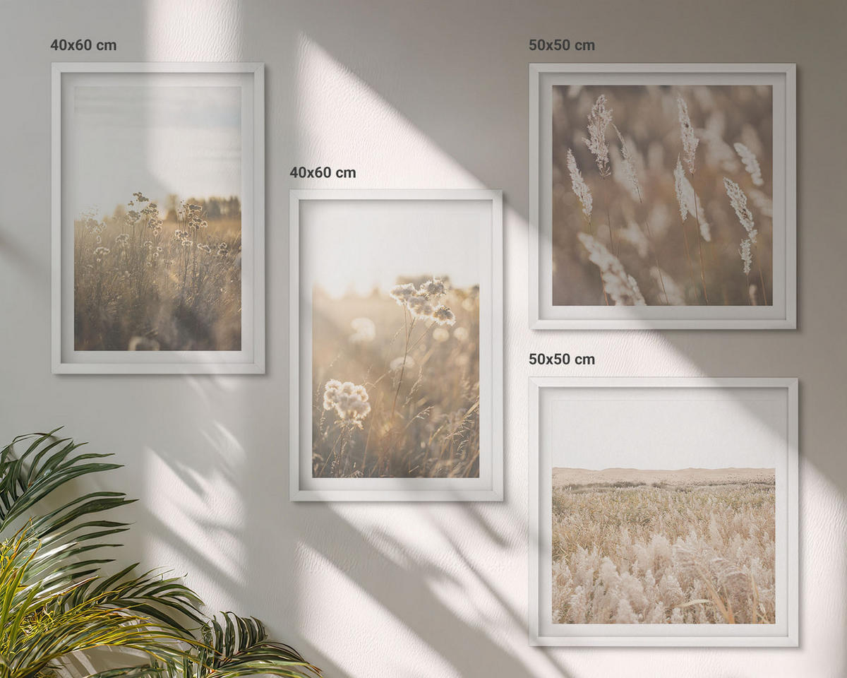 BILDER SET 4er Set - 50x50 cm & 40x60 cm Weißer Rahmen - Landschaftsgrasblumen Wärme - Weiß, Kunststoff (50/50cm) - TULUP
