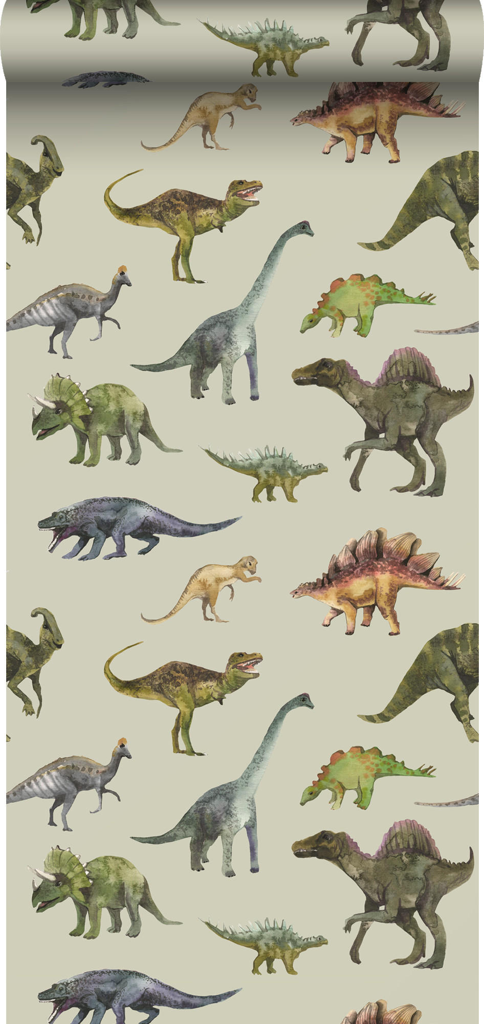 TAPETE Dinosaurier 50 x 900 cm - Grün, Papier (50/0.1cm) - Sanders & Sanders