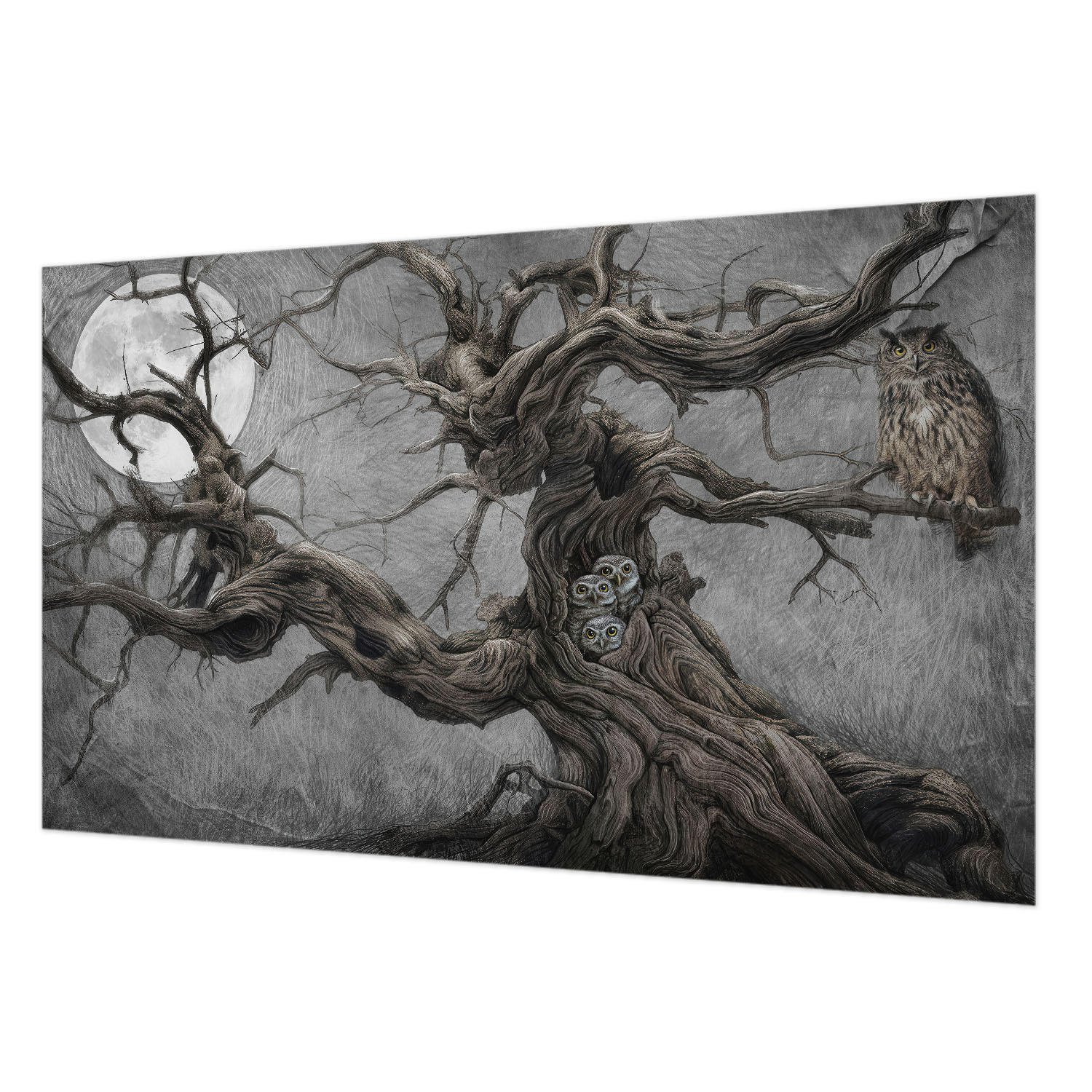 FOTOTAPETE 416x254 cm - Geheimnisvolle Eule - Grau, Textil (416/254cm) - Wallfluent