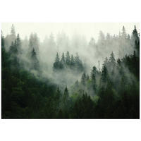 FOTOTAPETE Wald Nebel 400x280 - Multicolor, Papier (400/280cm) - Wallarena