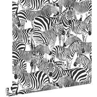 TAPETE Zebras 53 cm x 10.05 m - Schwarz, Papier (53/1000cm) - ESTAhome