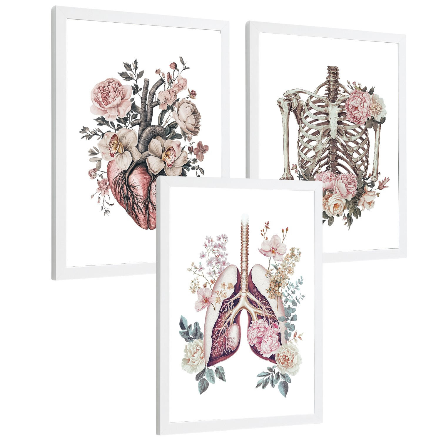 POSTER Set aus 3 Anatomie Florale Vintage Drucke und Wandbilder mit Herz Brustkorb und Lungen Detaillierter Illustrationsstil Größe Weißer Rahmen A3 - Weiß, Papier (29.7/42/3cm) - Nacnic