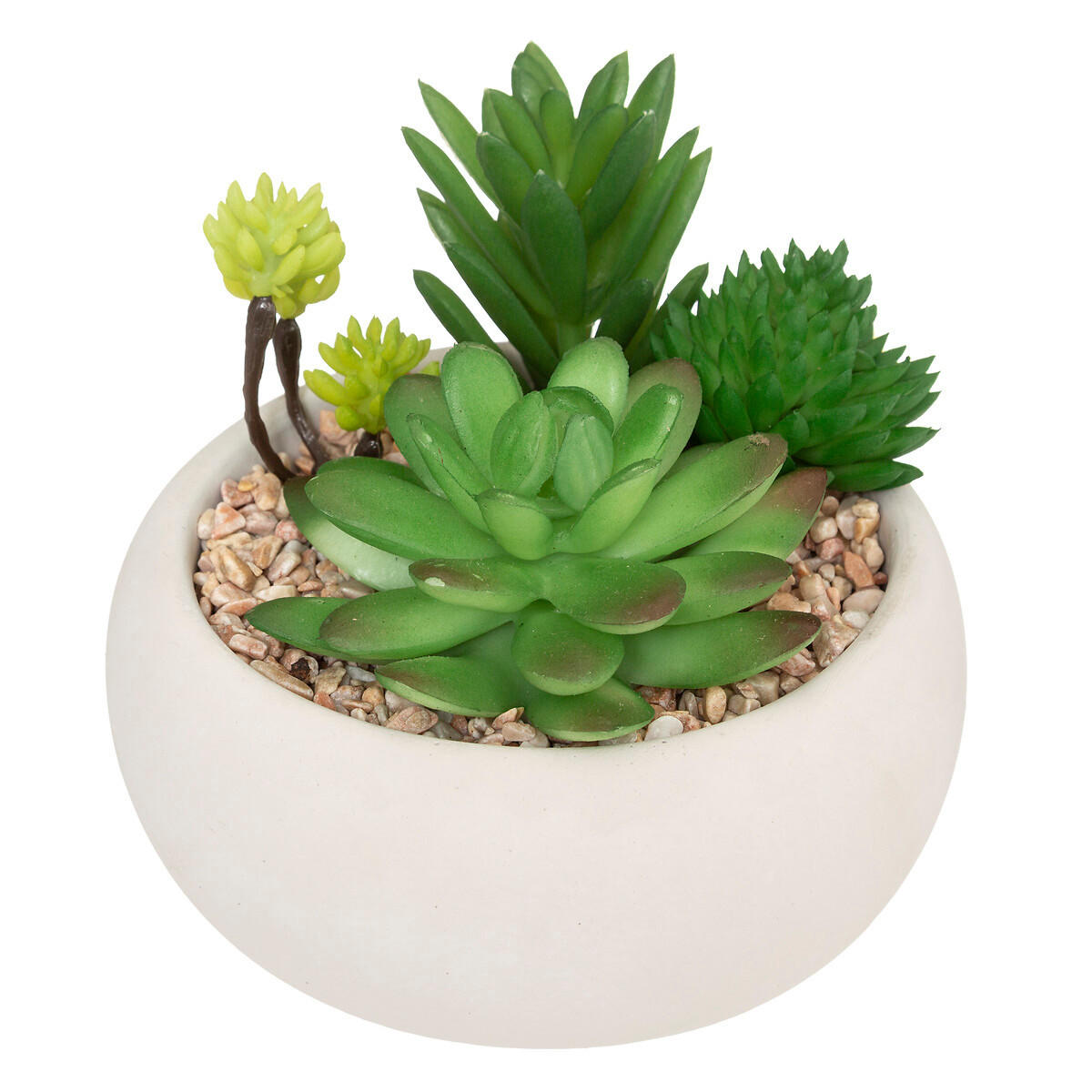 PFLANZE in einem Zementtopf 12/12/12 cm - Grün, Keramik (12cm) - Atmosphera Createur d´interieur