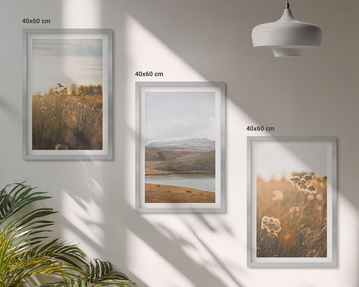 WANDBILDER 3er Set - 40x60 cm Silberner Rahmen - Landschaften Wiesen Berge See - Silberfarben, Kunststoff (40/60cm) - ArtPrintCave