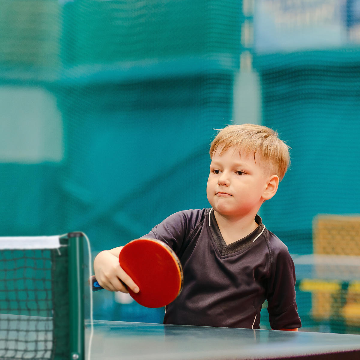 TISCHTENNISNETZ - Dunkelgrün, Textil/Metall (174/2.5cm) - Relaxdays