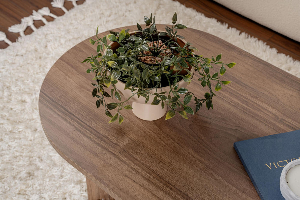 COUCHTISCH sable Braun - Braun, Holzwerkstoff (119/60/40cm) - Habitat Garten