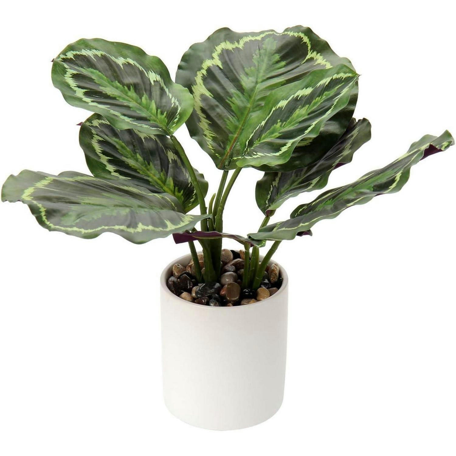 KUNSTPFLANZE Monstera im Topf 31 cm - Grün, Keramik (31cm)