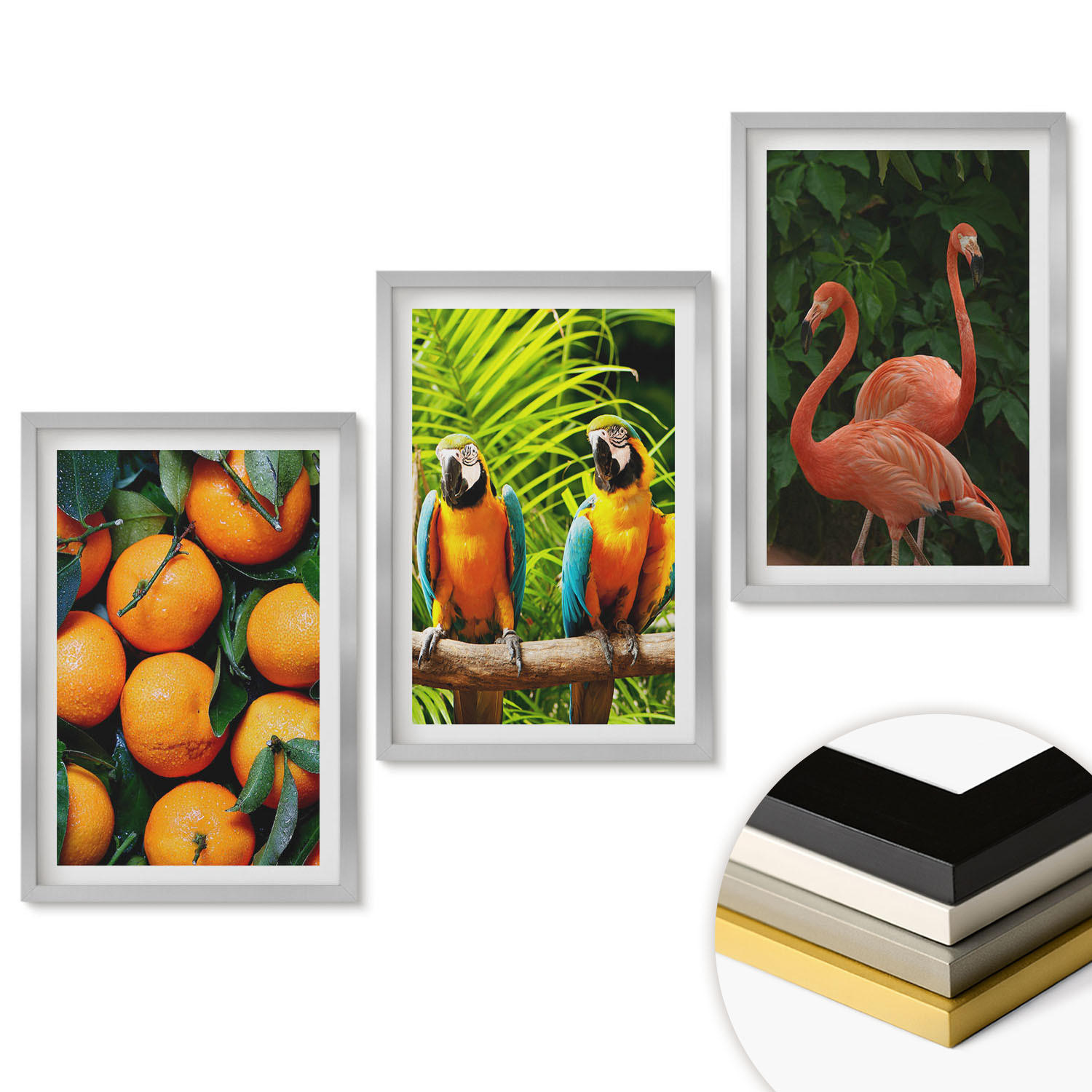 WANDBILDER 3er Set - 40x60 cm Silberner Rahmen - Fruchtige Akzente in den Tropen - Silberfarben, Kunststoff (40/60cm) - ArtPrintCave