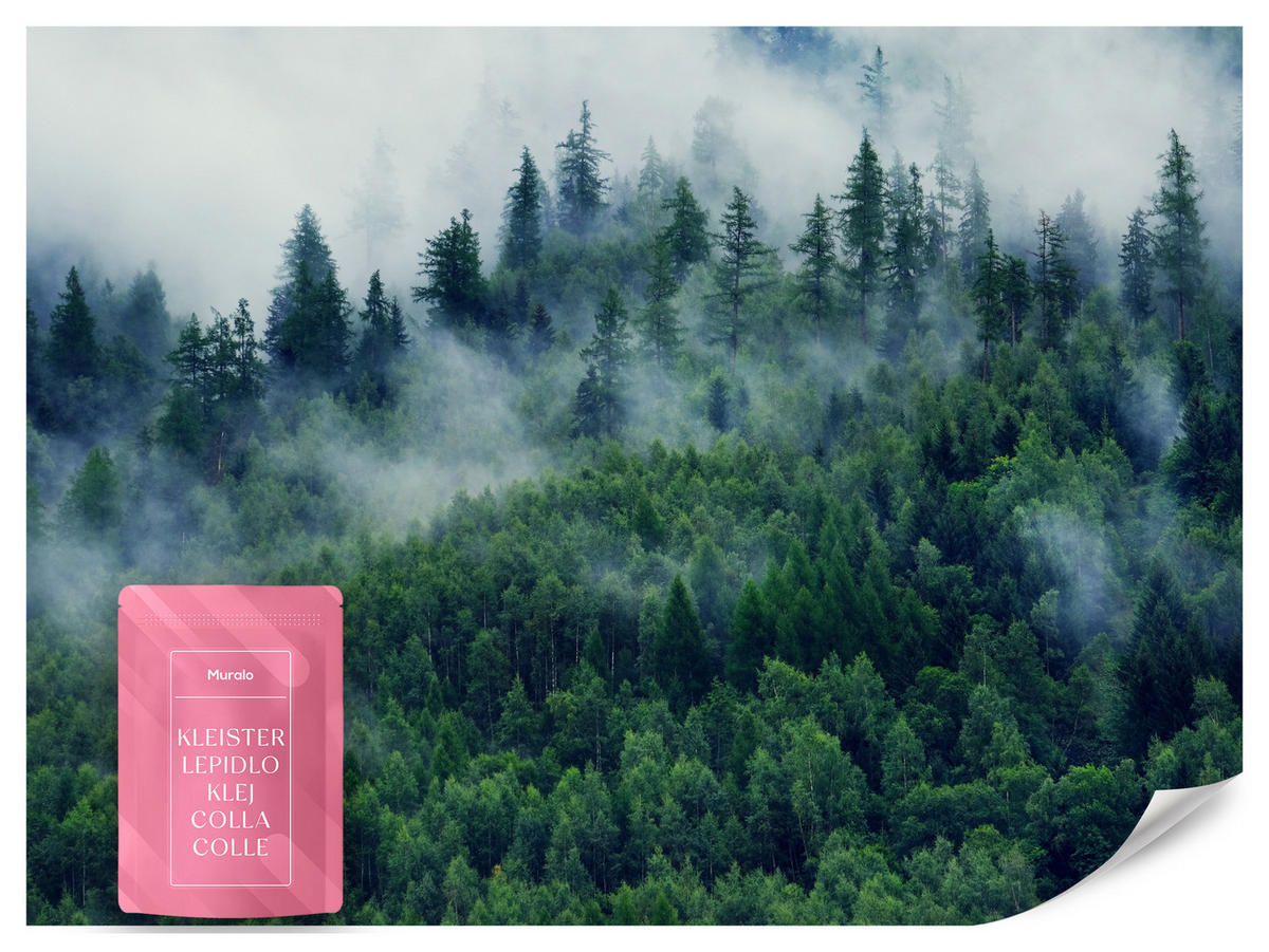 FOTOTAPETE Wald im Nebel Natur Landschaft 3D 100x70 - Grau/Grün, Papier (100/70cm) - Muralo