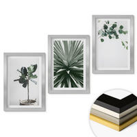 WANDBILDER 3er Set - 20x30 cm Silberner Rahmen - Minimalismus mit grünen Pflanzen - Silberfarben, Kunststoff (20/30cm) - ArtPrintCave
