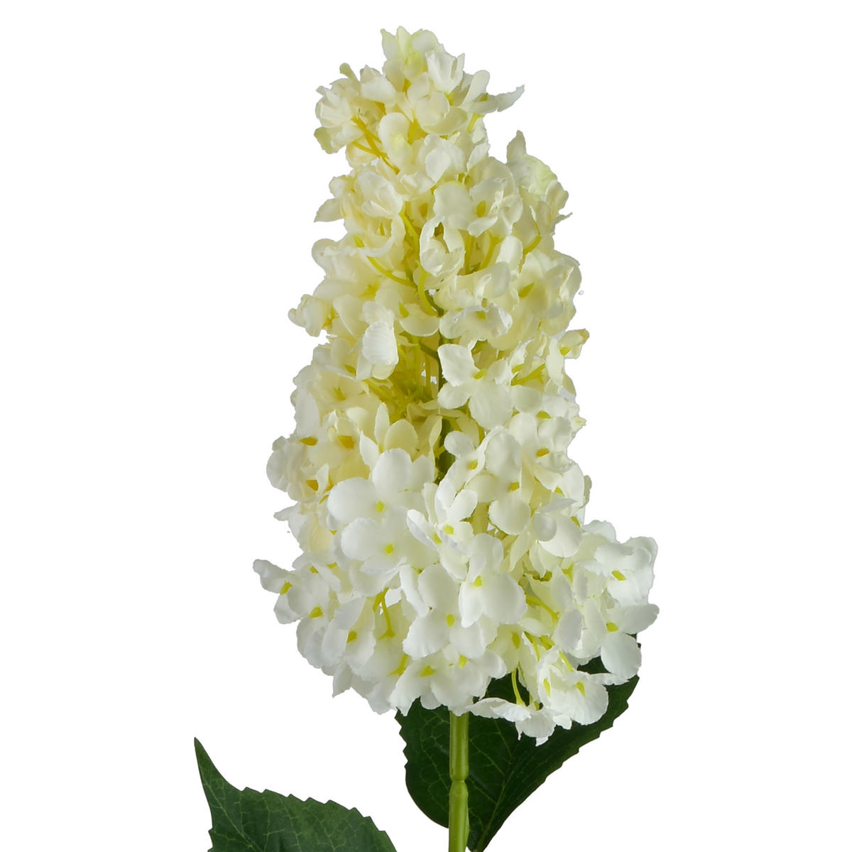 UMĚLÁ KVĚTINOVÁ VĚTEV HORTENZIE, 80 cm - zelená barva, plast (80cm) - Mondex