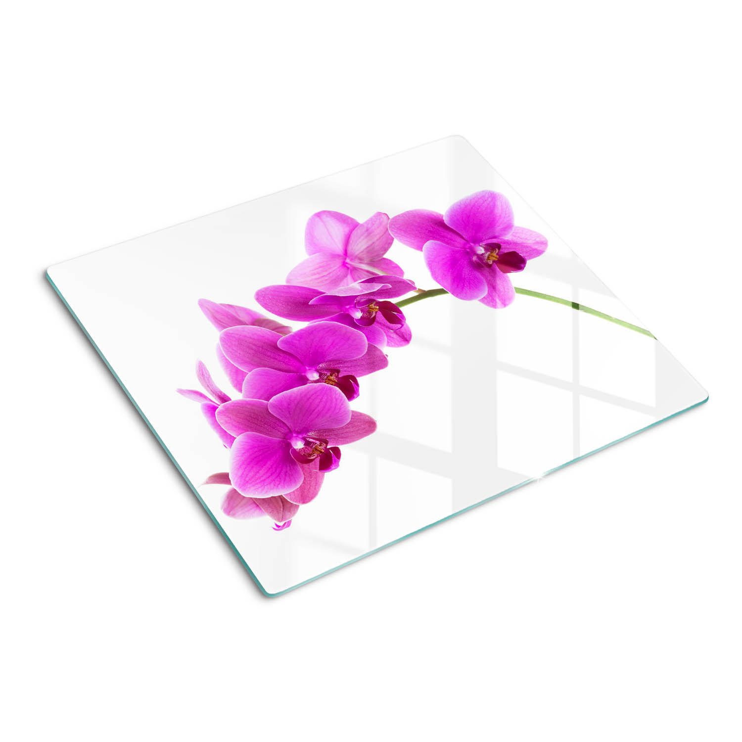 GLASPLATTE 60x52 cm Rosa Orchidee - Pink, Glas (60/0.4/52cm) - TULUP