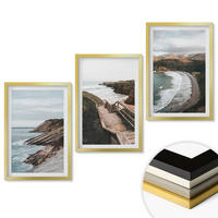 WANDBILDER 3er Set - 40x60 cm Goldrahmen - Klippenblicke, Strandlandschaften - Goldfarben, Kunststoff (40/60cm) - ArtPrintCave