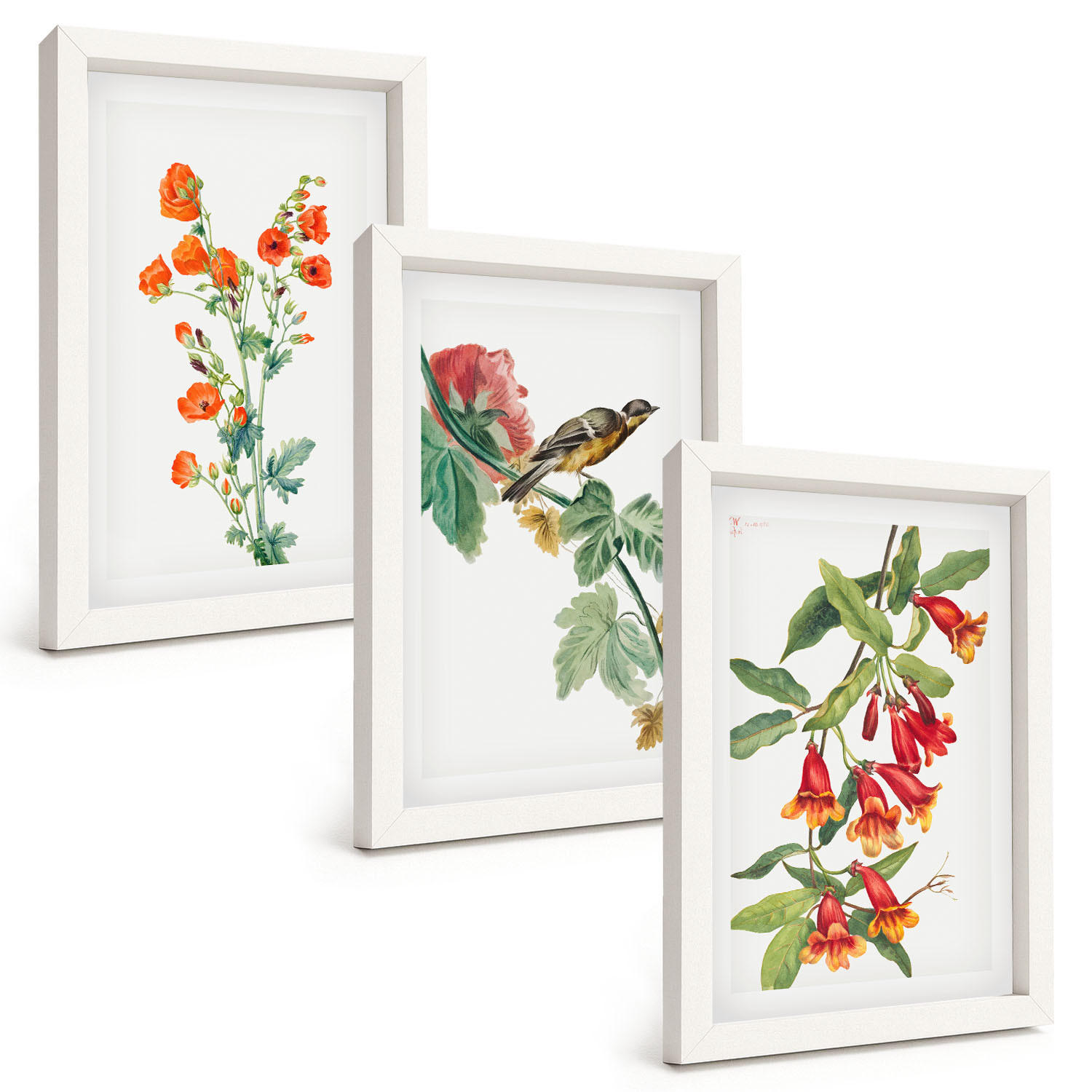BILDER SET 3er Set - 20x30 cm Weißer Rahmen - Gemalte Blumen und ein Vogel - Weiß, Kunststoff (20/30cm) - TULUP